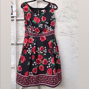 Eva Mendes Midi Dress Size 6